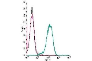Cell surface detection of Human C3aR by indirect flow cytometry in live intact human THP-1 monocytic leukemia cells: (black line) Cells.