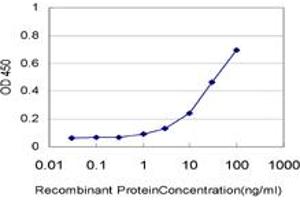 Detection limit for recombinant GST tagged ALDH2 is approximately 1ng/ml as a capture antibody. (ALDH2 anticorps  (AA 408-517))