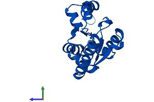 AlphaFold protein structure predicition of Human Recombinant AK6 Protein, UniprotID Q9Y3D8