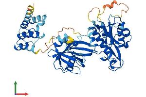 AlphaFold protein structure predicition of Human Recombinant NUDT12 Protein, UniprotID Q9BQG2