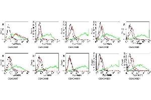 Members of the CEA family were expressed on BOSC cells after transient transfection with expression vectors containing either the cDNA of CEACAM1,5,6,7,8,19,20 or 21.