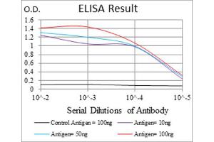Red: Control Antigen (100ng) ; Purple: Antigen (10ng) ; Green: Antigen (50ng) ; Blue: Antigen (100ng). (COTL1 anticorps)