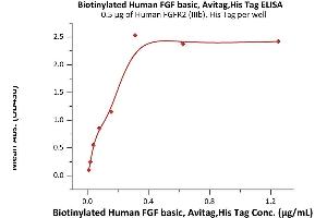 Fibroblast Growth Factor 2 (Basic) (FGF2) (AA 143-288) (Active) protein (AVI tag,His tag,Biotin)