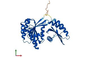 AlphaFold protein structure predicition of Mouse Recombinant Rraga Protein, UniprotID Q80X95