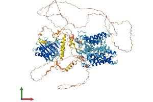 AlphaFold protein structure predicition of Mouse Recombinant Slc4a2 Protein, UniprotID P13808