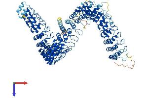AlphaFold protein structure predicition of Human Recombinant ANKRD44 Protein, UniprotID Q8N8A2