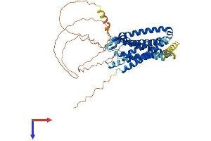 AlphaFold protein structure predicition of Mouse Recombinant C3ar1 Protein, UniprotID O09047