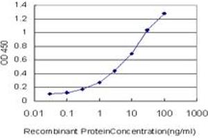 Detection limit for recombinant GST tagged SAFB is approximately 0.