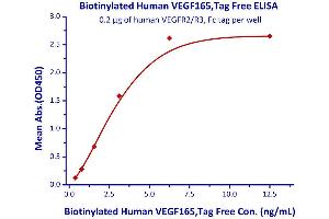 Immobilized human VEGFR2/R3, Fc tag at 2μg/mL (100 μL/well) can bind Biotinylated Human VEGF  with a linear range of 0.