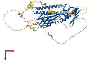 AlphaFold protein structure predicition of Human Recombinant RTKN Protein, UniprotID Q9BST9