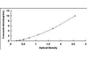 Single-Strand-Selective Monofunctional Uracil-DNA Glycosylase 1 (SMUG1) ELISA Kit