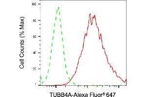 Flow cytometric analysis of TUBB4A expression in HAP-1 cells using TUBB4A antibody (ABIN7800659), 1:2,000). (TUBB4 anticorps)