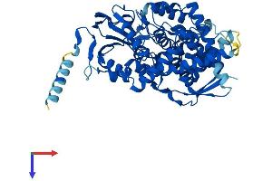 AlphaFold protein structure predicition of Human Recombinant PTGIS Protein, UniprotID Q16647