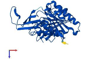 AlphaFold protein structure predicition of Human Recombinant KHK Protein, UniprotID P50053
