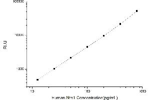 Typical standard curve (Netrin 1 Kit CLIA)