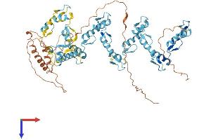 AlphaFold protein structure predicition of Human Recombinant ZNF311 Protein, UniprotID Q5JNZ3
