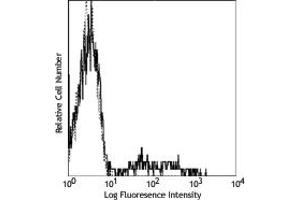 Image no. 1 for anti-CD24 Molecule (CD24) antibody (ABIN205517)