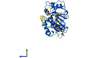 AlphaFold protein structure predicition of Mouse Recombinant St3gal1 Protein, UniprotID P54751
