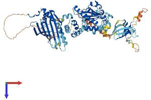 AlphaFold protein structure predicition of Human Recombinant SEC14L1 Protein, UniprotID Q92503