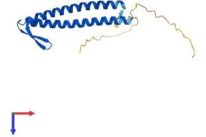 AlphaFold protein structure predicition of Mouse Recombinant Pfdn2 Protein, UniprotID O70591