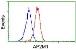 Flow cytometric Analysis of Jurkat cells, using anti-AP2M1 antibody (ABIN2454663), (Red), compared to a nonspecific negative control antibody, (Blue). (AP2M1 anticorps  (AA 97-383))