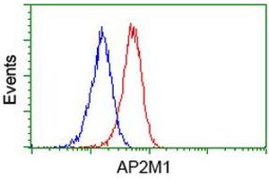 Flow cytometric Analysis of Jurkat cells, using anti-AP2M1 antibody (ABIN2454663), (Red), compared to a nonspecific negative control antibody, (Blue). (AP2M1 anticorps  (AA 97-383))