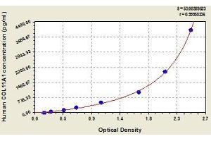 Typical standard curve