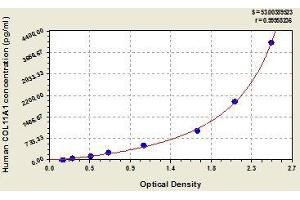 Typical standard curve (COL11A1 Kit ELISA)
