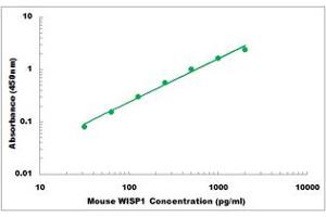 Representative Standard Curve (WISP1 Kit ELISA)