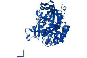 AlphaFold protein structure predicition of Human Recombinant ACMSD Protein, UniprotID Q8TDX5