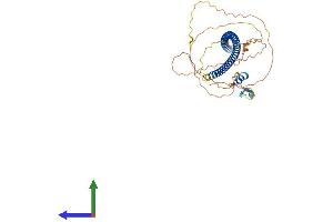 AlphaFold protein structure predicition of Human Recombinant ZNF365 Protein, UniprotID Q70YC5