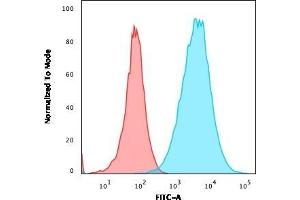 Flow Cytometric Analysis of A549 cells using S100A4 Recombinant Rabbit Monoclonal Antibody (S100A4/2750R) followed by goat anti-rabbit IgG-CF488 (Blue); Isotype Control (Red). (Recombinant s100a4 anticorps  (AA 1-200))
