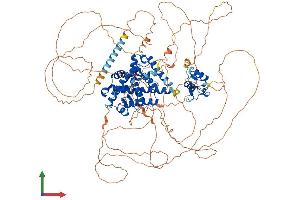 AlphaFold protein structure predicition of Human Recombinant NR3C2 Protein, UniprotID P08235