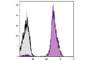 Human peripheral blood lymphocytes were stained with Mouse Anti-Human CD45-CY5.