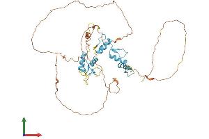 AlphaFold protein structure predicition of Human Recombinant ZIC1 Protein, UniprotID Q15915