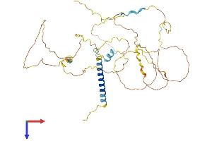 AlphaFold protein structure predicition of Human Recombinant PAG1 Protein, UniprotID Q9NWQ8