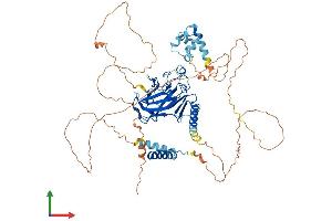 AlphaFold protein structure predicition of Mouse Recombinant Tp73 Protein, UniprotID Q9JJP2