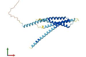 AlphaFold protein structure predicition of Mouse Recombinant Orai2 Protein, UniprotID Q8BH10