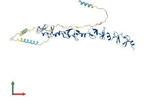 AlphaFold protein structure predicition of Human Recombinant LPXN Protein, UniprotID O60711