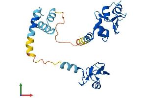 AlphaFold protein structure predicition of Human Recombinant BIRC8 Protein, UniprotID Q96P09