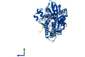 AlphaFold protein structure predicition of Mouse Recombinant Paox Protein, UniprotID Q8C0L6