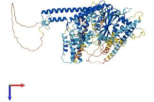 AlphaFold protein structure predicition of Human Recombinant USP25 Protein, UniprotID Q9UHP3