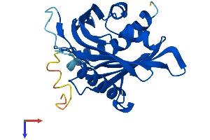 AlphaFold protein structure predicition of Mouse Recombinant Stard4 Protein, UniprotID Q99JV5