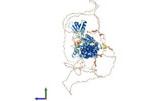 AlphaFold protein structure predicition of Human Recombinant PLEKHM2 Protein, UniprotID Q8IWE5