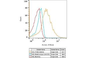 Flow cytometry: HEL cells were stained with Rabbit IgG isotype control (, 2. (Integrin beta 3 anticorps)