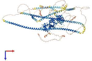 AlphaFold protein structure predicition of Human Recombinant PPFIA1 Protein, UniprotID Q13136