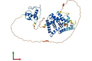 AlphaFold protein structure predicition of Mouse Recombinant Nr2f1 Protein, UniprotID Q60632