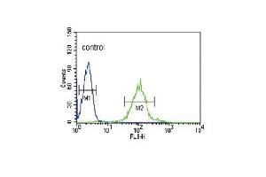 IRF8 Antibody (C-term) (ABIN389336 and ABIN2839448) flow cytometric analysis of HL-60 cells (right histogram) compared to a negative control cell (left histogram). (IRF8 anticorps  (C-Term))
