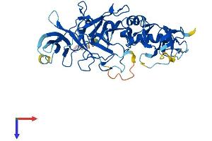AlphaFold protein structure predicition of Human Recombinant PELI1 Protein, UniprotID Q96FA3