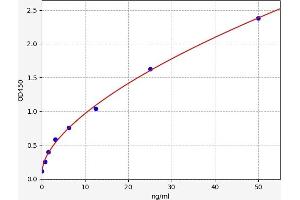 Typical standard curve (BAK1 Kit ELISA)